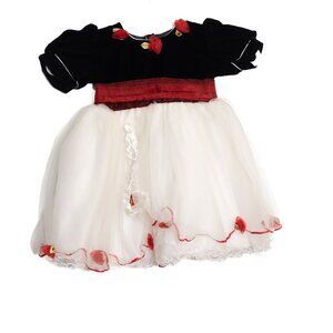 Girls Size XL Velvet & Tulle Dress Black Red White Rose Details